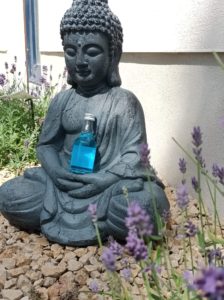 potion du samourai, boudha